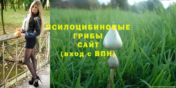 МДМА Алексин