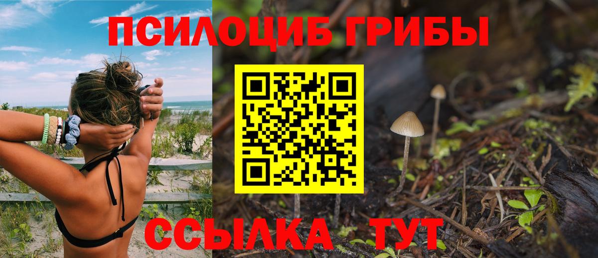 Галлюциногенные грибы мицелий Добрянка