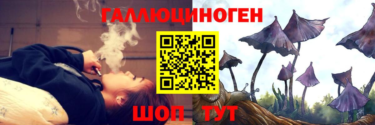 Галлюциногенные грибы Psilocybine cubensis  Вход с VPN  Добрянка 